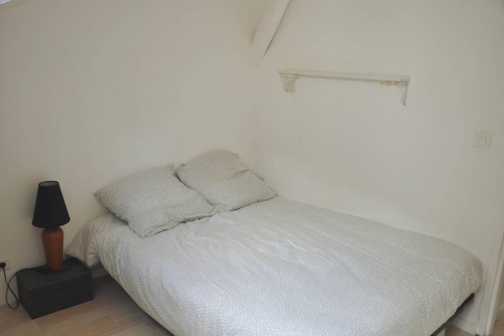Duplex avec belle térasse au centre de Bayonne Appartamento Esterno foto